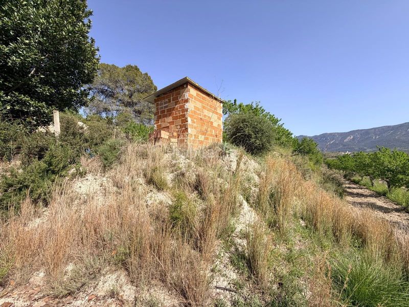 Foto ba89a972-3f8b-488d-83ea-5b186260090c. Finca rústica a Bèlgida