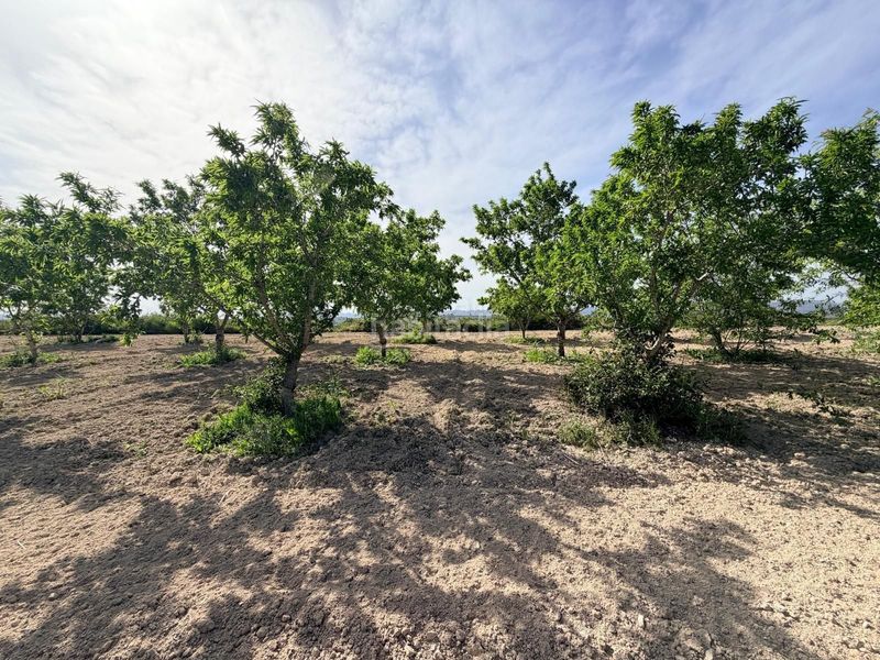 Foto bcb1bf93-4a83-4c52-85db-98d9da9fda8d. Finca rústica a Bèlgida
