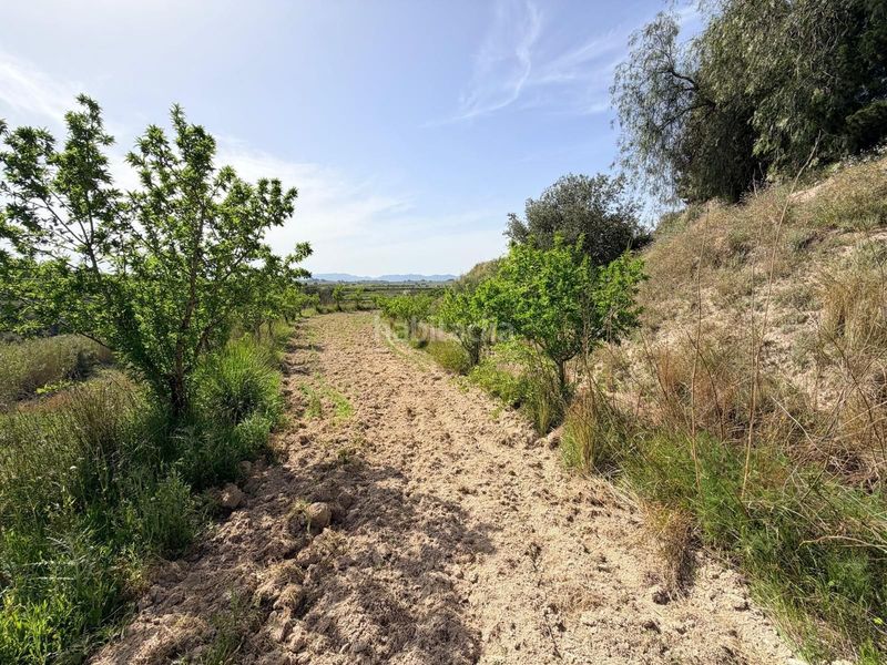 Foto c90bddbd-8968-40e7-a071-995c8adbd8e3. Finca rústica a Bèlgida