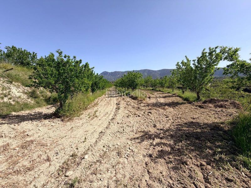 Foto ee4726aa-1f7e-4201-8e64-6ed68c814b9b. Finca rústica a Bèlgida