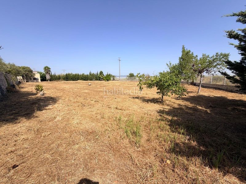 Foto 08c1751e-0ce1-4132-a3d7-75b3058e66eb. Casa a Albaida