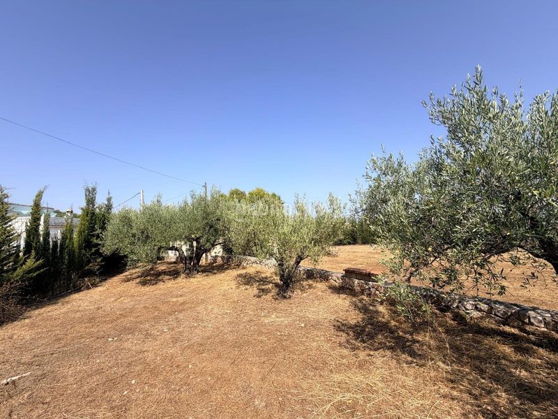 Foto a1cb24a5-d48d-48fb-9340-4f3190de0736. Casa a Albaida