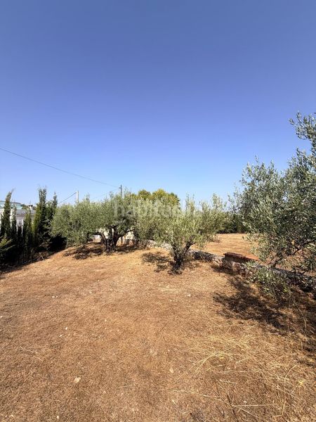 Foto a778246d-7e0a-485b-917c-7e4baccc910b. Casa a Albaida