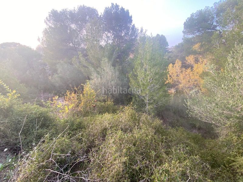 Foto 68a3ae16-73db-4848-8def-a1f0ac764651. Terreny residencial a Arjona
