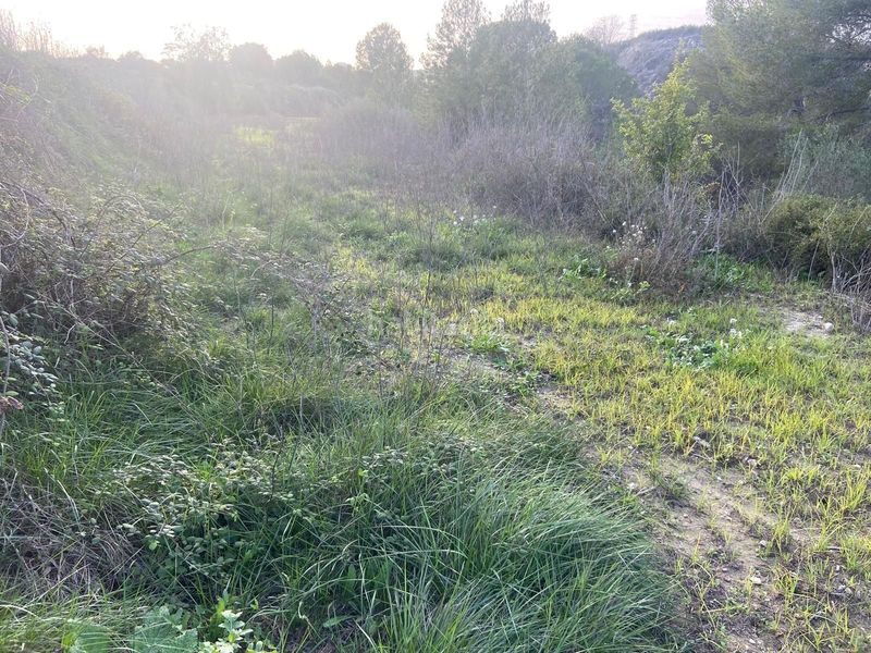 Foto fd1eae9a-fc34-4e7f-a0c9-b0a365b37c21. Terreny residencial a Arjona