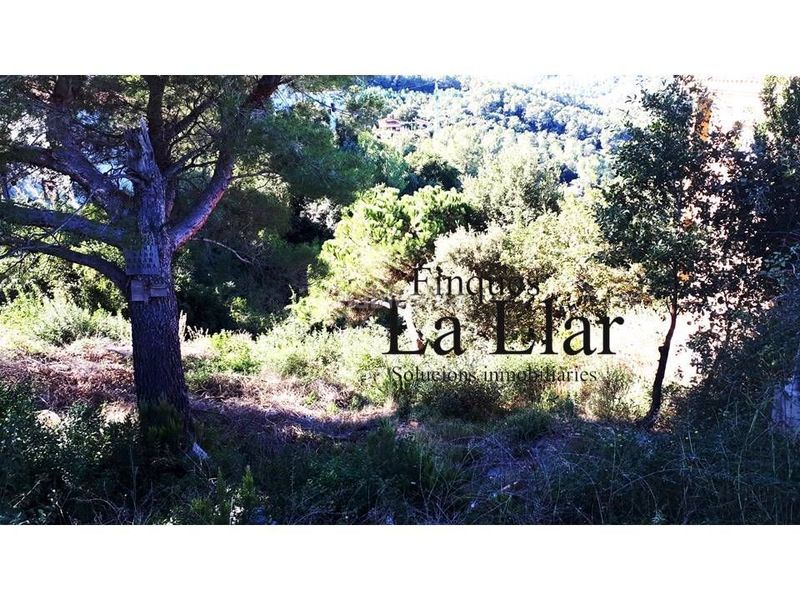 Foto 199c02f5-2405-483f-82bf-a30b6090af08. Terreny residencial a Torrelles de Llobregat