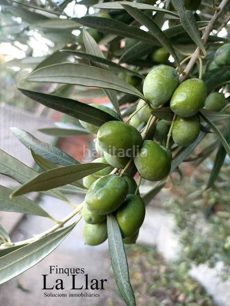 Foto 07e57edc-ca33-4191-af98-c710adc753e3. Casa amb calefacció piscina a Can Vinyals Esparreguera