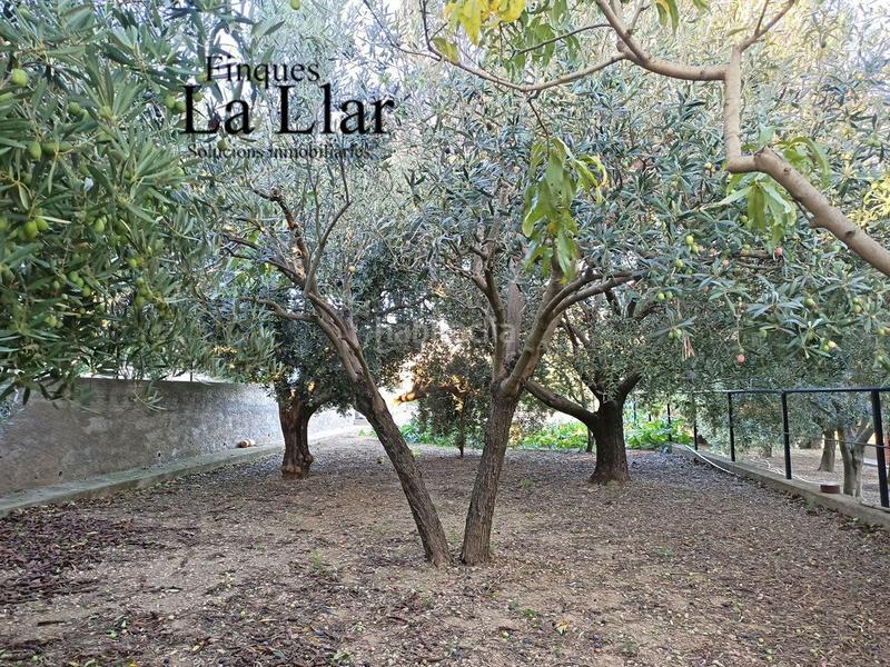 Foto 2fe299e4-05d2-4d34-8ee5-6ea060996be7. Casa amb calefacció piscina a Can Vinyals Esparreguera