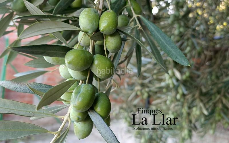 Foto 4214bef5-53d2-4acd-8568-7152c240d63e. Casa amb calefacció piscina a Can Vinyals Esparreguera