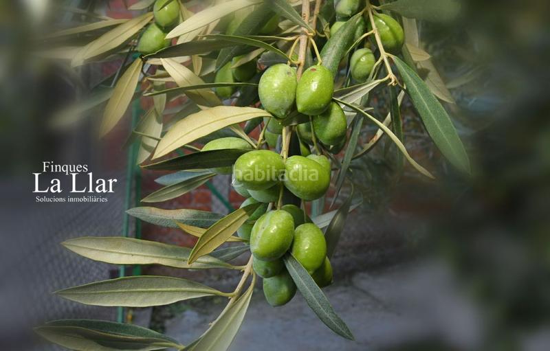 Foto c96605e4-2052-4b17-9551-52697e90b5c1. Casa amb calefacció piscina a Can Vinyals Esparreguera