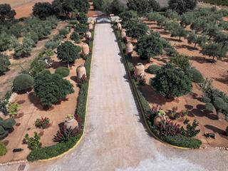 Country house  Diseminado pol.3. Finca rústica con explotación agrícola  y licencia vacacional
