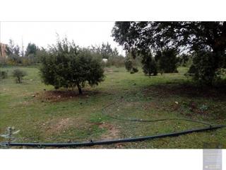 Terreny residencial a Escalona. Venta 2 suelos urb.residenciales y 13 suelos urb.residenciales