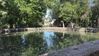 Rural plot in Migjorn. Finca rústica en venta