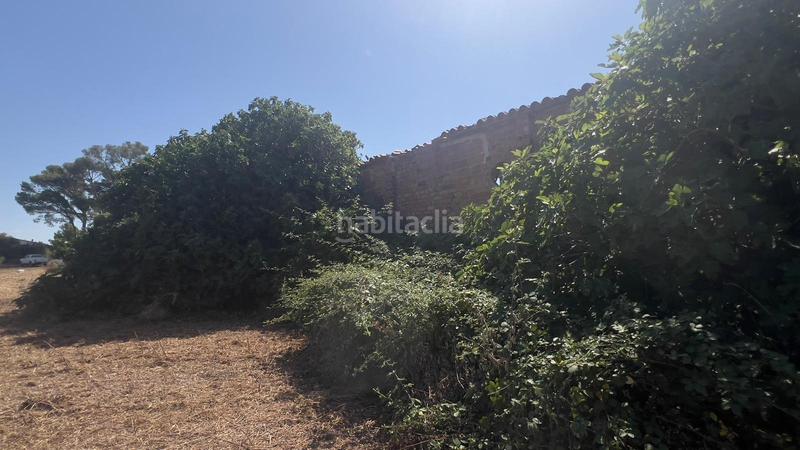 Foto 333b9658-818e-4d07-b32e-4307aa712f41. Finca rústica a Poble Mont-roig del Camp