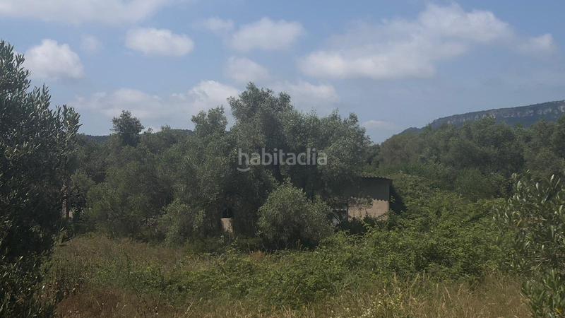 Foto 4391b5fd-8515-43aa-b90d-c62ba3000c35. Finca rústica a Poble Mont-roig del Camp