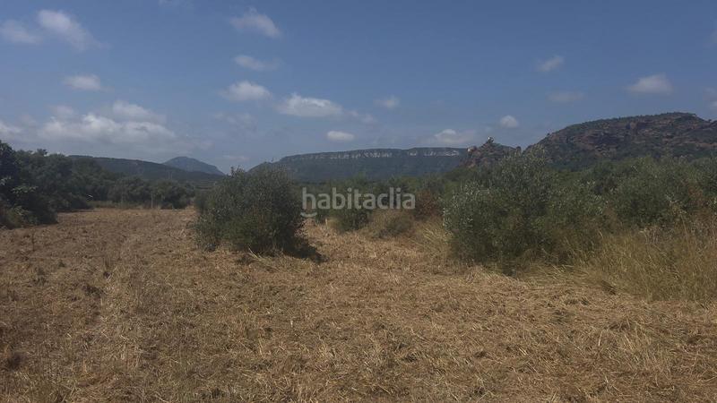 Foto 4c0409bf-39b2-4db1-a027-895d52a50548. Finca rústica a Poble Mont-roig del Camp