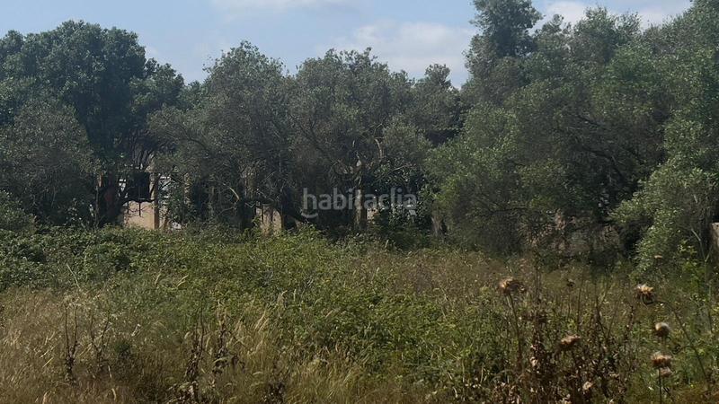 Foto 7e2d5b1a-cdcd-4951-b3d2-495c053d5cf0. Finca rústica a Poble Mont-roig del Camp