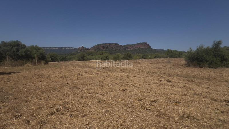 Foto e269c2cb-8bfc-4fba-976b-0c452e05e358. Finca rústica a Poble Mont-roig del Camp