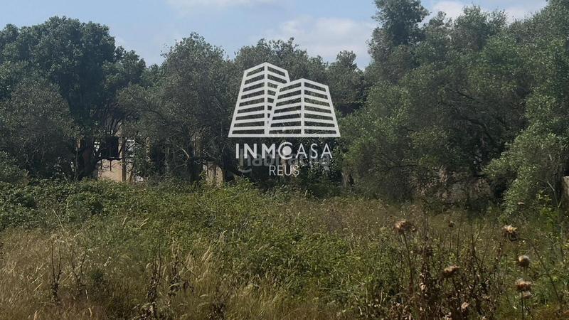 Foto 2ec43bc4-dff5-43ec-ba7c-42d3fd504b6c. Terreny residencial a Poble Mont-roig del Camp