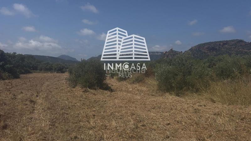 Foto 759a5979-4798-47f4-89b4-f28a04facd15. Terreny residencial a Poble Mont-roig del Camp
