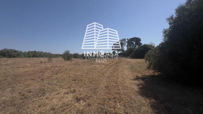 Foto 877d7649-9013-416b-b816-f4e4074de42f. Terreny residencial a Poble Mont-roig del Camp