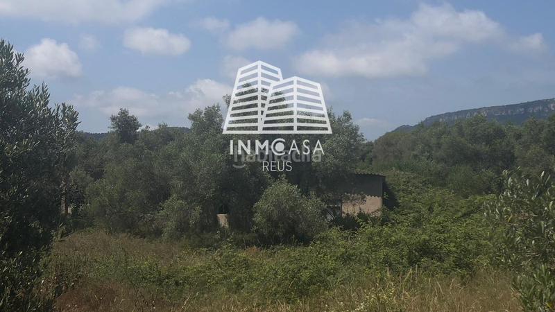 Foto a156c32f-7e6f-43b5-b996-e4bdfc22dc09. Terreny residencial a Poble Mont-roig del Camp