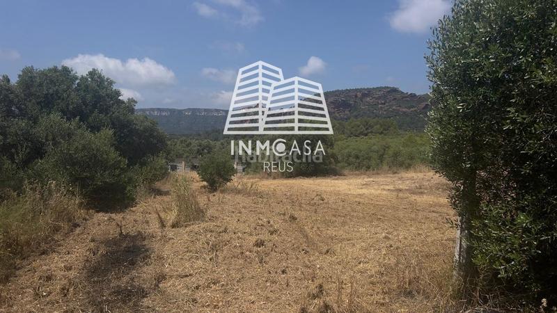 Foto a480e861-4914-4856-b323-edc99344fd21. Terreny residencial a Poble Mont-roig del Camp