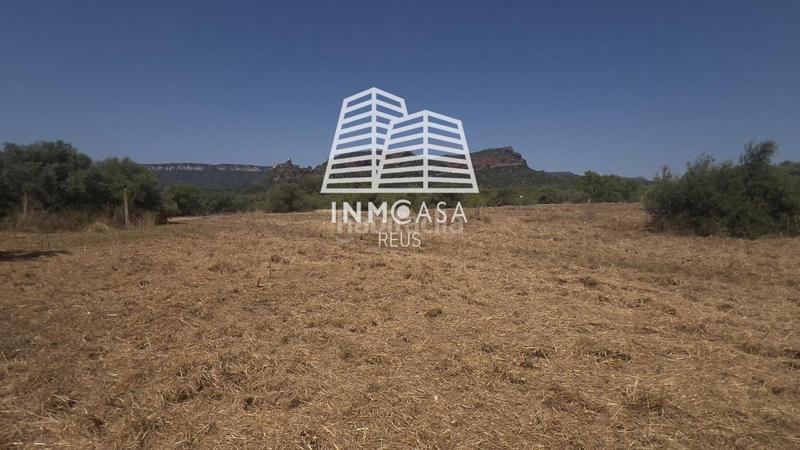 Foto b825464e-ba8f-4649-bcfc-c873d271be4b. Terreny residencial a Poble Mont-roig del Camp