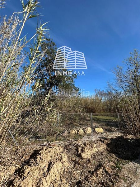 Foto beae3903-34e7-4fa2-aefa-7e5ff754d199. Finca rústica a Migjorn Reus