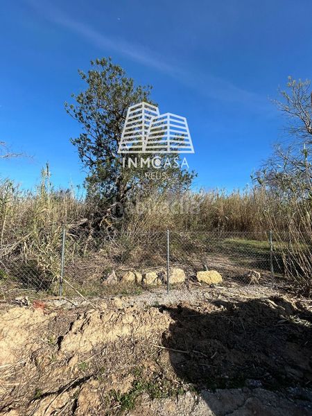 Foto e5417d65-04cf-4927-845c-b196fa1c3744. Finca rústica a Migjorn Reus