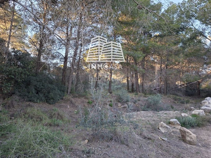 Foto 088006f3-95fc-4935-9873-dc7e3ca9907a. Finca rústica a Borges del Camp (Les)
