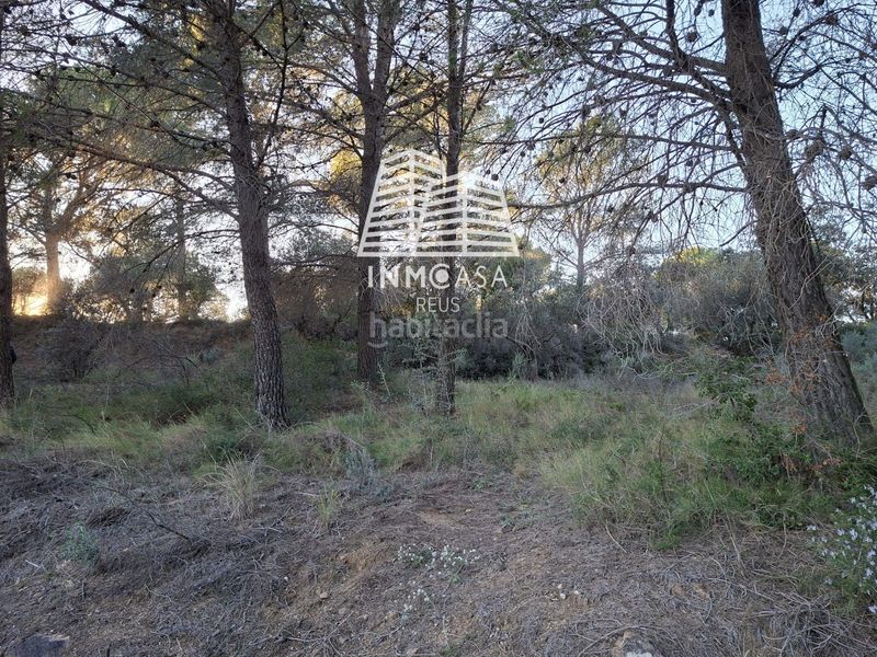 Foto 17fd7591-9ebb-454e-9c05-65673937f9d0. Finca rústica a Borges del Camp (Les)
