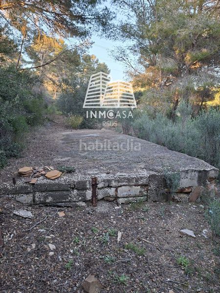 Foto 456eeaae-c154-4973-9ec9-89cf05093ac4. Finca rústica a Borges del Camp (Les)