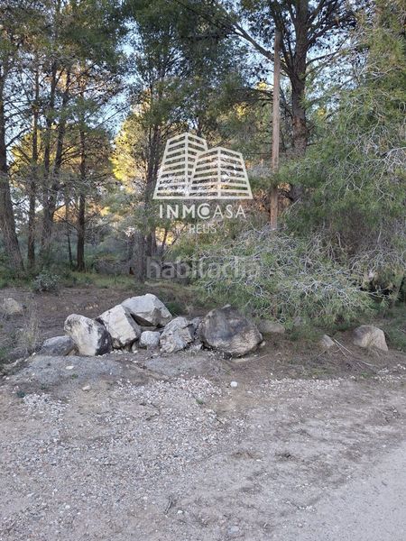 Foto 57023bf1-545e-4920-a6a8-a1ea04562643. Finca rústica a Borges del Camp (Les)