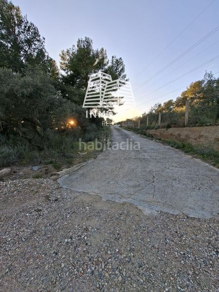Foto 5dd2c276-5c59-4d92-ab46-89c42d9066a5. Finca rústica a Borges del Camp (Les)