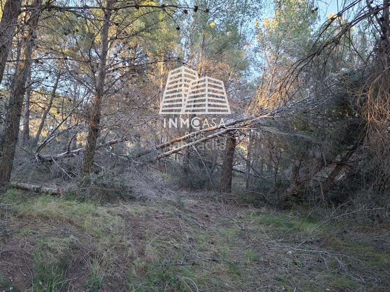 Foto fb9856c1-bd88-468b-bf14-6e21a638dcef. Finca rústica a Borges del Camp (Les)