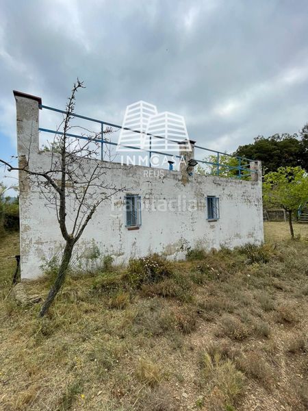 Foto 9641c575-a761-4052-b818-509099a2583c. Finca rústica en lalbiol en Albiol (L´)