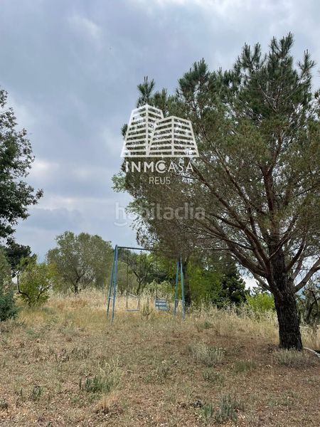 Foto 98d53a09-88d6-4160-9984-0e4c23741e5e. Finca rústica en lalbiol en Albiol (L´)