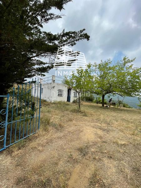 Foto f7ca1ebb-ab69-499a-92c8-9d1058383bbf. Finca rústica en lalbiol en Albiol (L´)