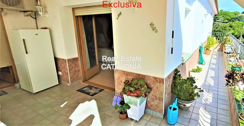 Foto 8ff3220d-e64e-4a78-9156-d411e7317317. Chalet con camino riscaldamento parcheggio in Condado del Jaruco - Puigventós Lloret de Mar