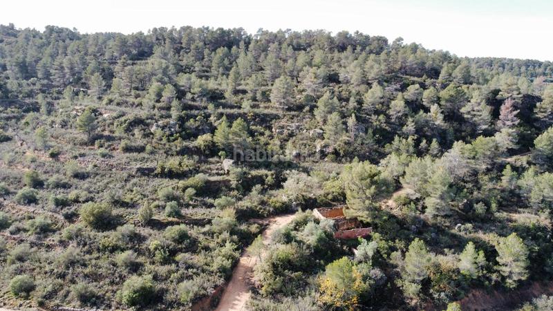 Foto 13ee3683-bc5b-4d11-b024-c8fbc256a455. Finca rústica a Cervià de les Garrigues