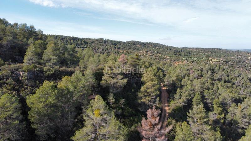 Foto 47a9553a-f63d-4403-bf7f-31030b0249bb. Finca rústica a Cervià de les Garrigues
