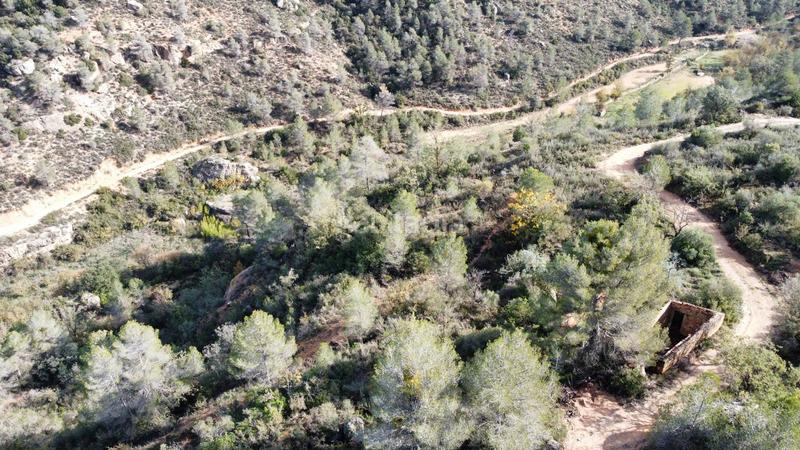 Foto 4dff5dae-dd48-4a9f-a37a-b9d5661b1bd3. Finca rústica a Cervià de les Garrigues
