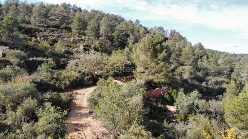 Foto 6f0ecf8d-acdf-456c-860c-852c3a4a97d3. Finca rústica a Cervià de les Garrigues