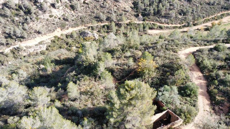 Foto 6f6de9a2-6b04-46b9-9f6d-a17b92885316. Finca rústica a Cervià de les Garrigues