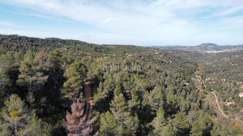 Foto 7cdbbb09-d28e-4ce9-b263-585c3f0bb3a7. Finca rústica a Cervià de les Garrigues