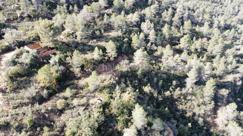 Foto 88b9aa67-e37f-4a75-84fe-5fcab9ce4643. Finca rústica a Cervià de les Garrigues