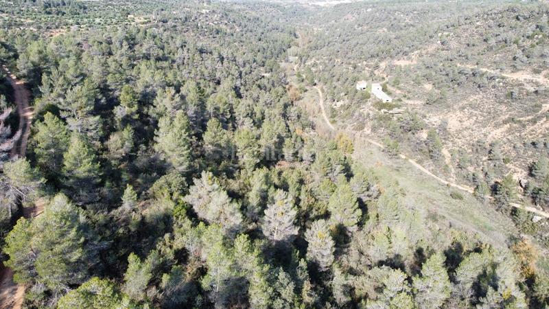 Foto 8b009639-946c-4157-9e69-ffd0456ed917. Finca rústica a Cervià de les Garrigues