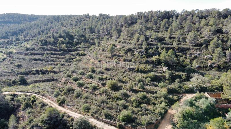 Foto b067ce93-6116-46bc-8643-9d628c9ac6a4. Finca rústica a Cervià de les Garrigues