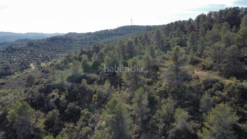 Foto cac24920-6fb7-4908-b2ff-b5d4e3d7417a. Finca rústica a Cervià de les Garrigues